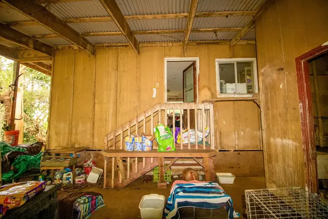 Listing Image for 77 Peahi Rd 15 of 47