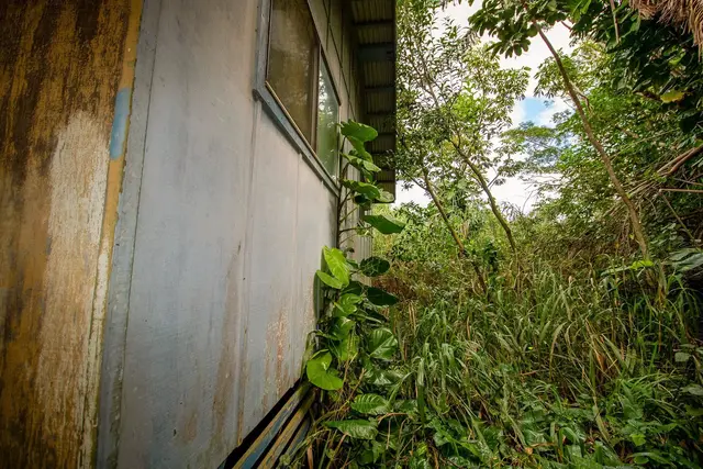 Listing Image for 77 Peahi Rd 18 of 47