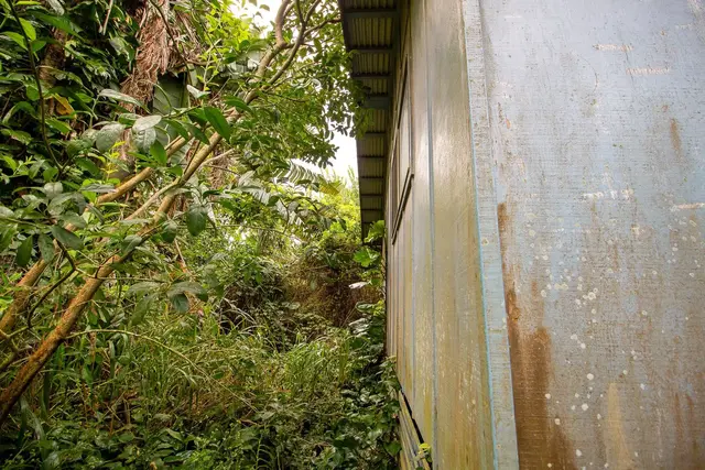 Listing Image for 77 Peahi Rd 21 of 47
