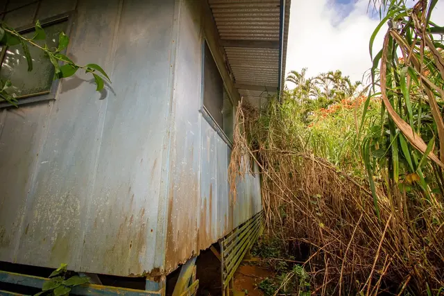 Listing Image for 77 Peahi Rd 22 of 47