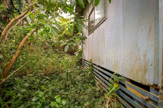 Listing Image for 77 Peahi Rd 23 of 47