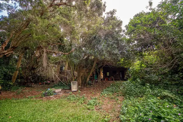 Listing Image for 77 Peahi Rd 25 of 47