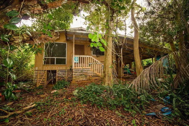 Listing Image for 77 Peahi Rd 3 of 47
