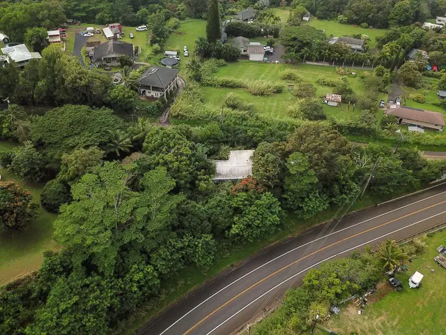 Listing Image for 77 Peahi Rd 42 of 47