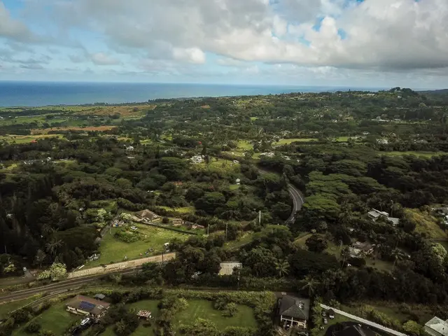 Listing Image for 77 Peahi Rd 43 of 47