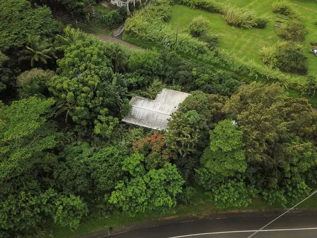 Listing Image for 77 Peahi Rd 45 of 47