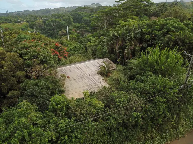Listing Image for 77 Peahi Rd 46 of 47
