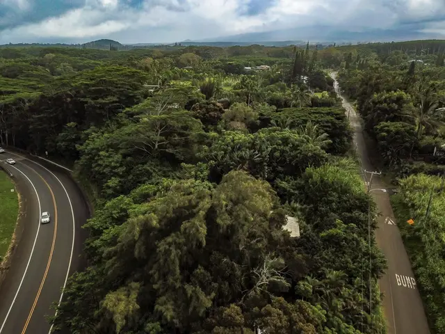 Listing Image for 77 Peahi Rd 47 of 47