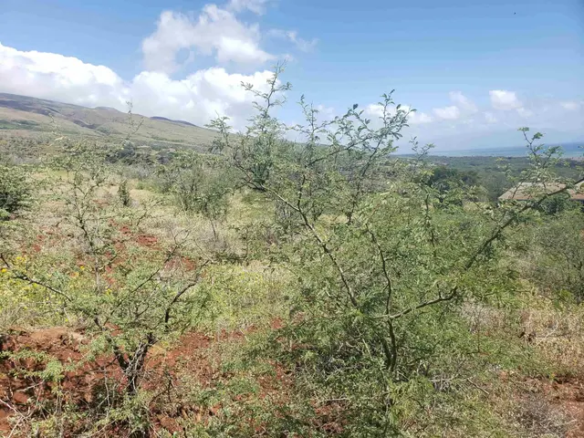 Listing Image for 212 Ulua Rd Lot 179 4 of 8