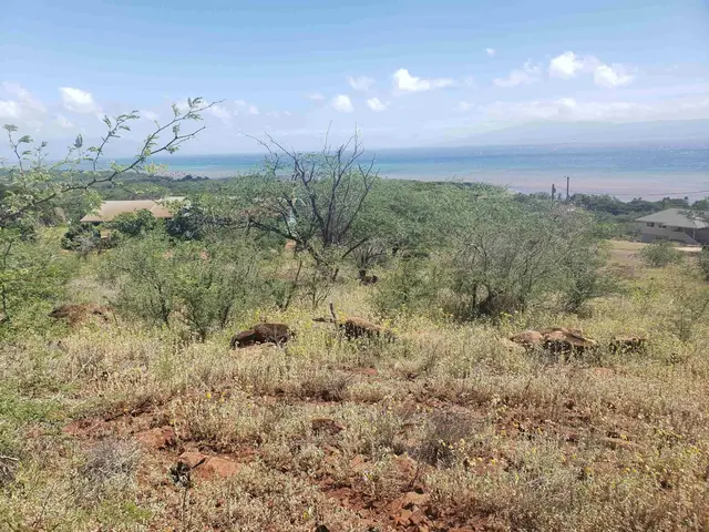Listing Image for 212 Ulua Rd Lot 179 5 of 8