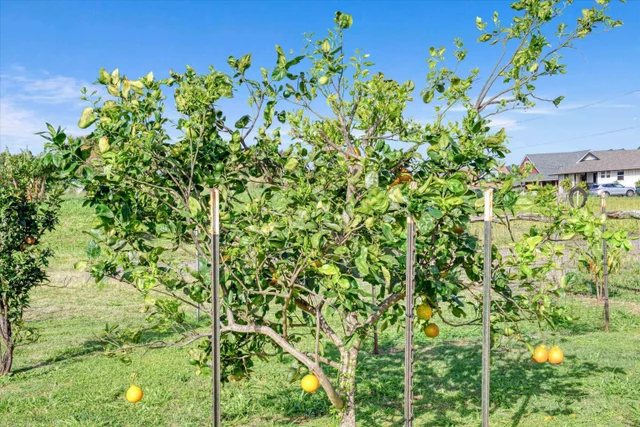 Listing Image for 51 Kanoenoe Loop 45 of 50