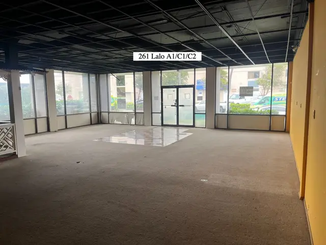 Lalo Business Center  - 251 Lalo St, Kahului, 387791 - 5/8
