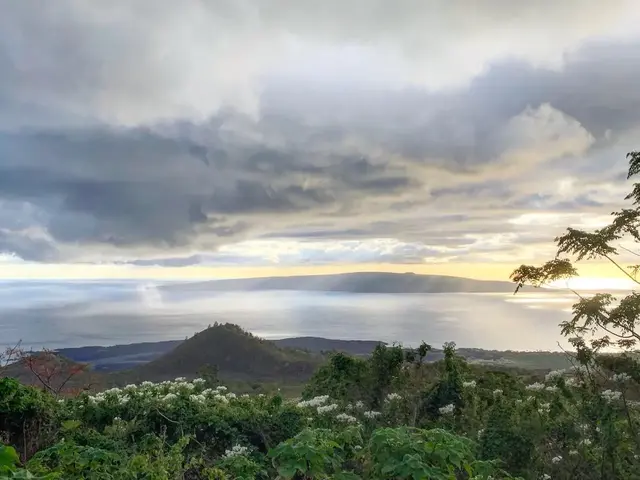 Listing Image for 0 Ulupalakua Rd 1 of 31