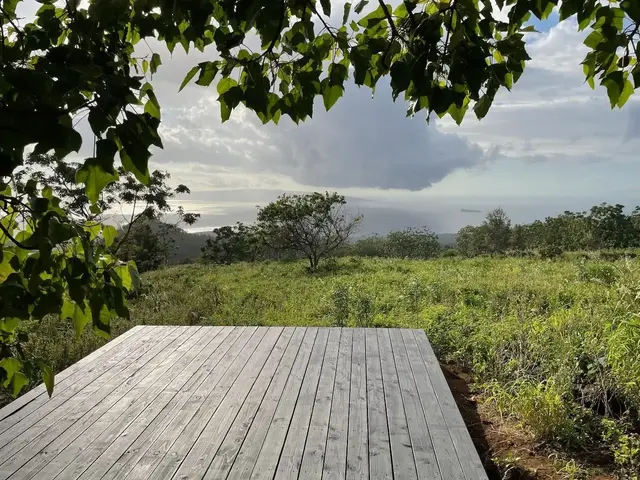 Listing Image for 0 Ulupalakua Rd 12 of 31