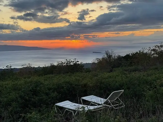 Listing Image for 0 Ulupalakua Rd 16 of 31
