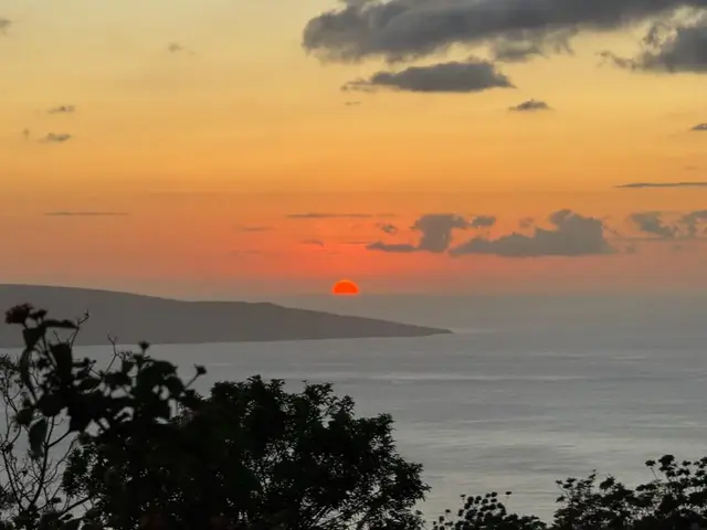 Listing Image for 0 Ulupalakua Rd 18 of 31