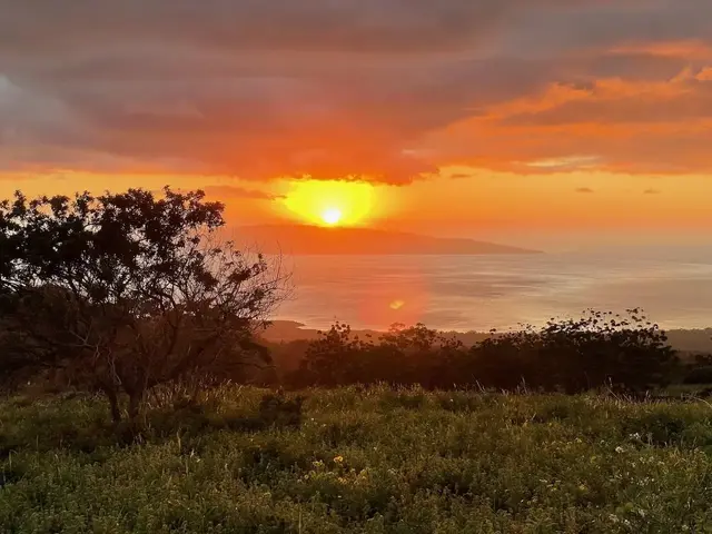 Listing Image for 0 Ulupalakua Rd 27 of 31