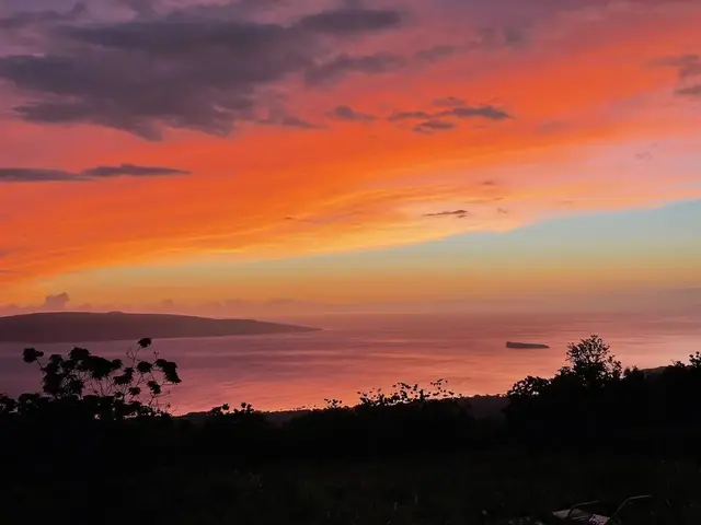 Listing Image for 0 Ulupalakua Rd 3 of 31
