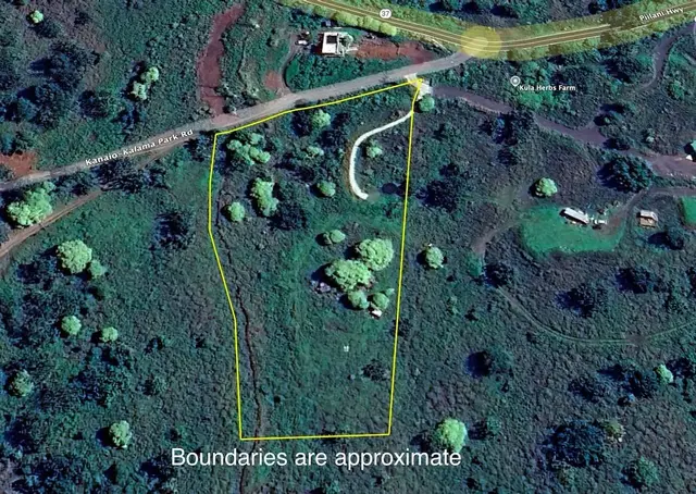 Listing Image for 0 Ulupalakua Rd 31 of 31
