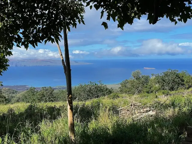 Listing Image for 0 Ulupalakua Rd 6 of 31