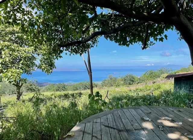 Listing Image for 0 Ulupalakua Rd 8 of 31