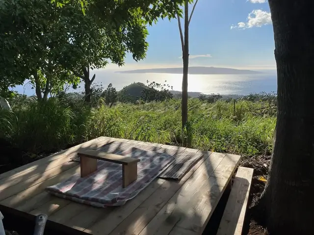 Listing Image for 0 Ulupalakua Rd 9 of 31