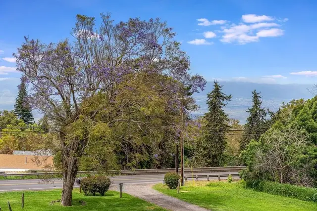 Listing Image for 15247 Haleakala Hwy Unit A 37 of 45