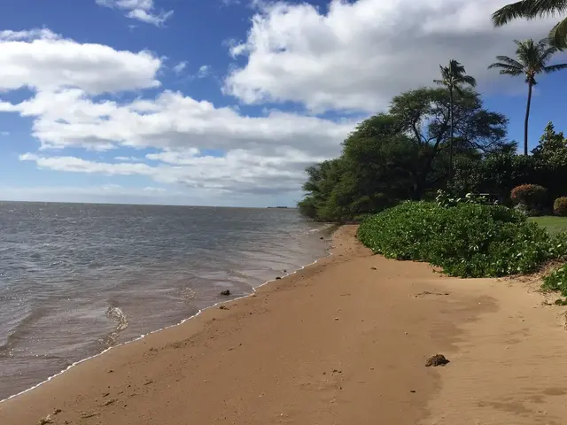 Listing Image for 1000 Kamehameha V Hwy A103 25 of 26