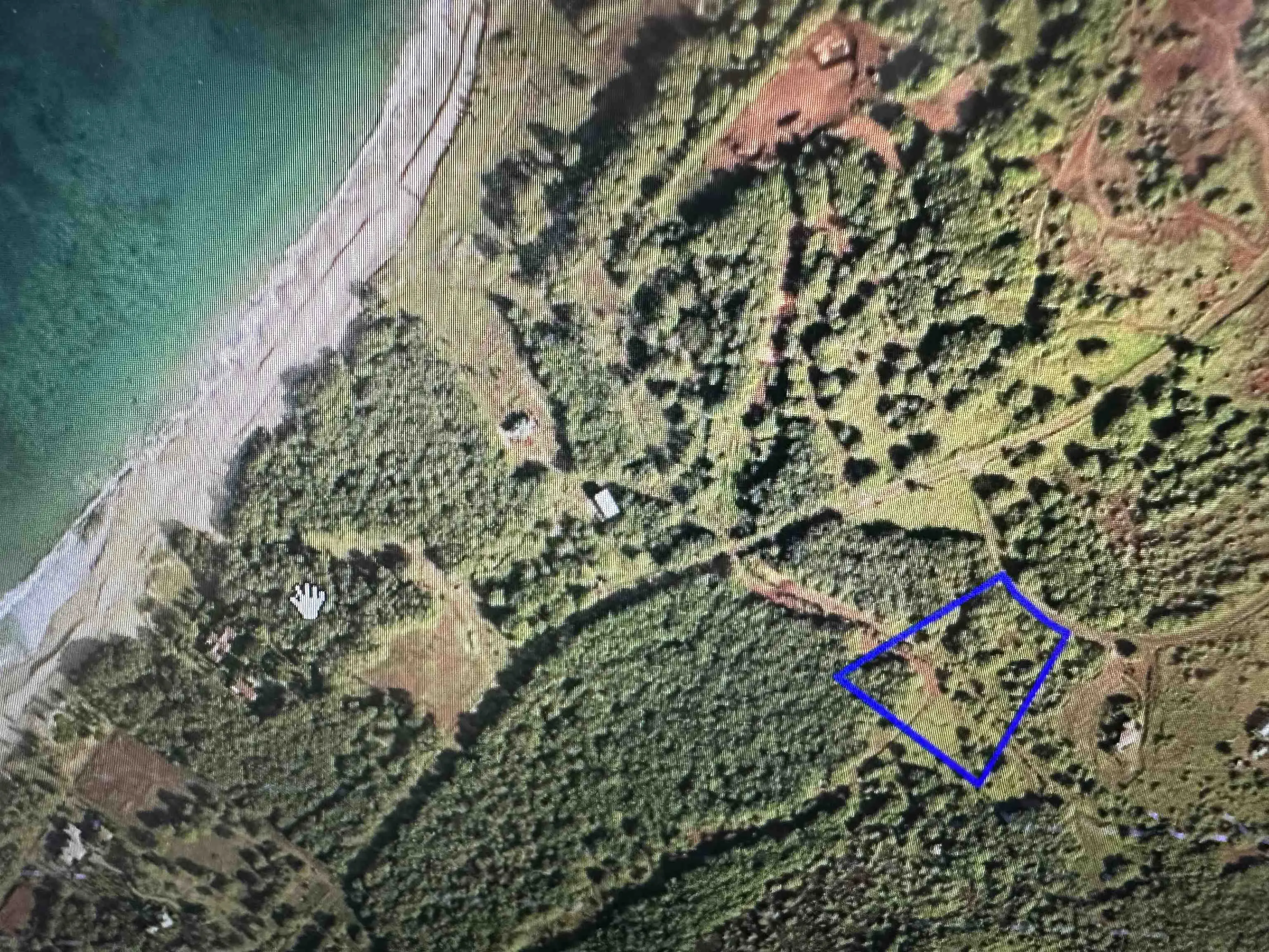 Photo of Listing #405596