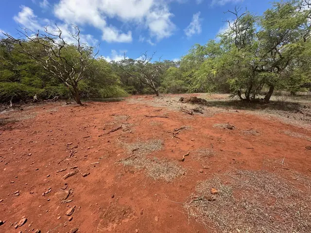 Listing Image for 0 Pa Loa Loop 11 of 22