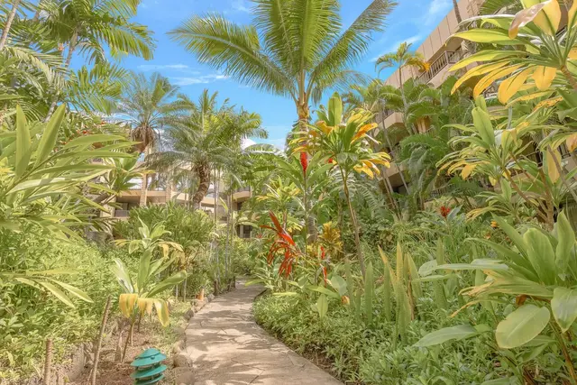 Listing Image for 3601 Lower Honoapiilani Rd 213 20 of 25