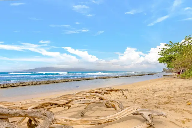 Listing Image for 3601 Lower Honoapiilani Rd 213 21 of 25
