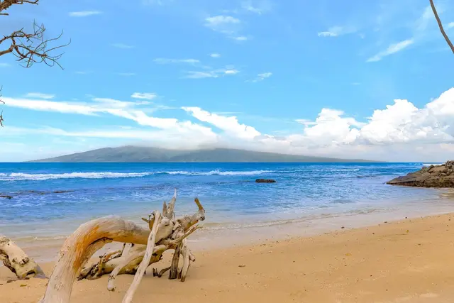 Listing Image for 3601 Lower Honoapiilani Rd 213 23 of 25