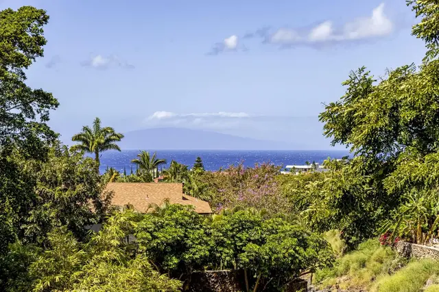 Listing Image for 2670 Kanakanui Rd 11 of 48