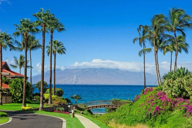 Listing Image for 4000 Wailea Alanui Dr 1904 48 of 50