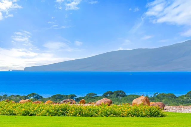 Listing Image for 533 Luawai St 18 of 50