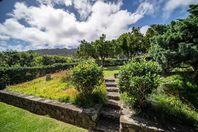 Listing Image for 546 Melemele St 30 of 33