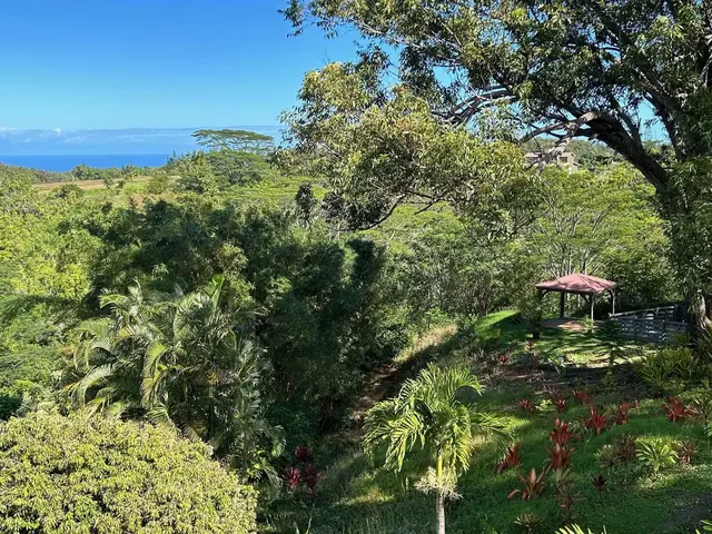 Listing Image for 3969 Lepo St 41 of 48