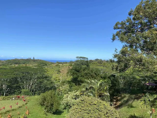 Listing Image for 3969 Lepo St 43 of 48