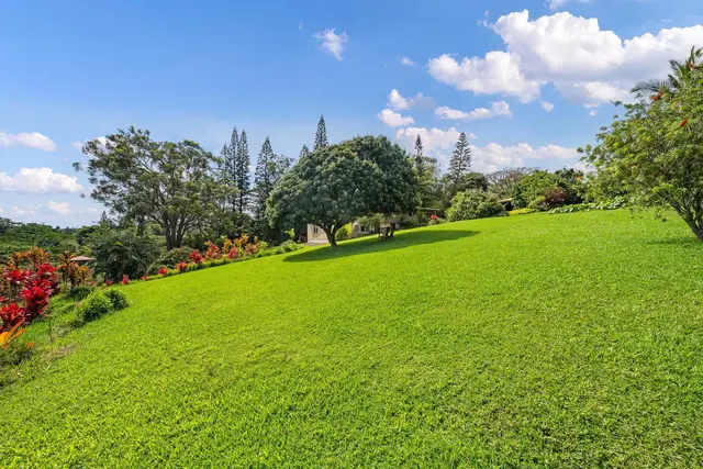 Listing Image for 3969 Lepo St 45 of 48
