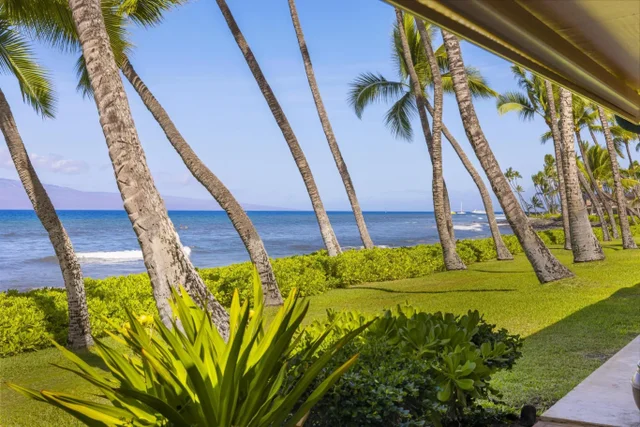 Listing Image for 160 Pualei Dr 160-4 34 of 47