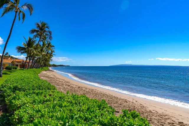 Listing Image for 160 Pualei Dr 160-4 38 of 47