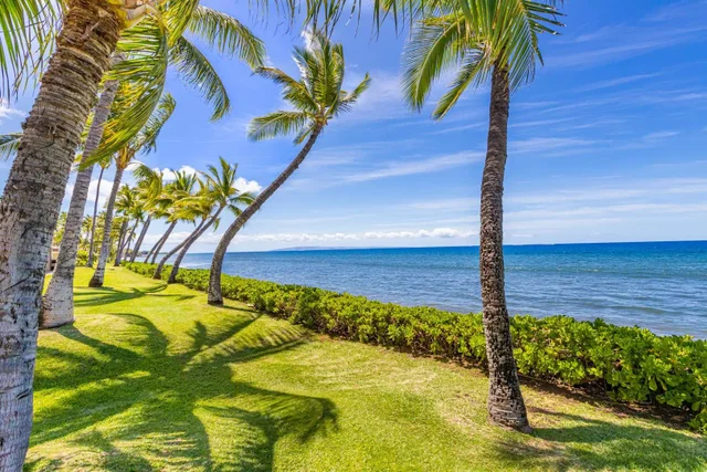 Listing Image for 160 Pualei Dr 160-4 4 of 47