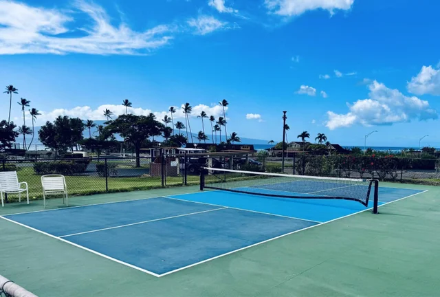 Listing Image for 160 Pualei Dr 160-4 44 of 47