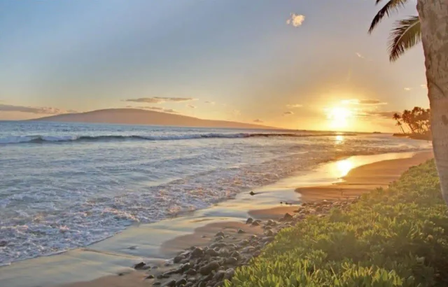 Listing Image for 160 Pualei Dr 160-4 47 of 47