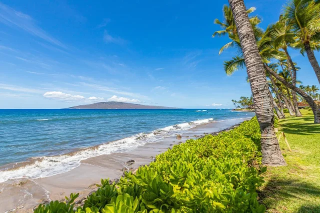 Listing Image for 160 Pualei Dr 160-4 5 of 47