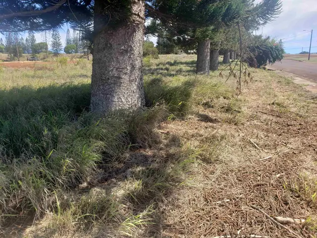 Listing Image for 00 Puumalu St 3 of 6