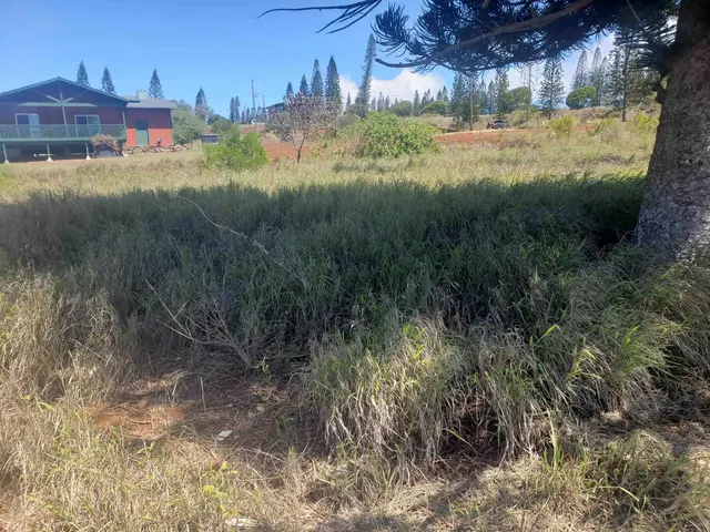 Listing Image for 00 Puumalu St 4 of 6