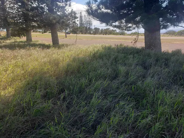Listing Image for 00 Puumalu St 5 of 6
