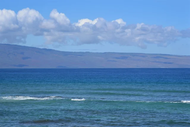 Listing Image for 3875 Lower Honoapiilani Rd A-205 29 of 48